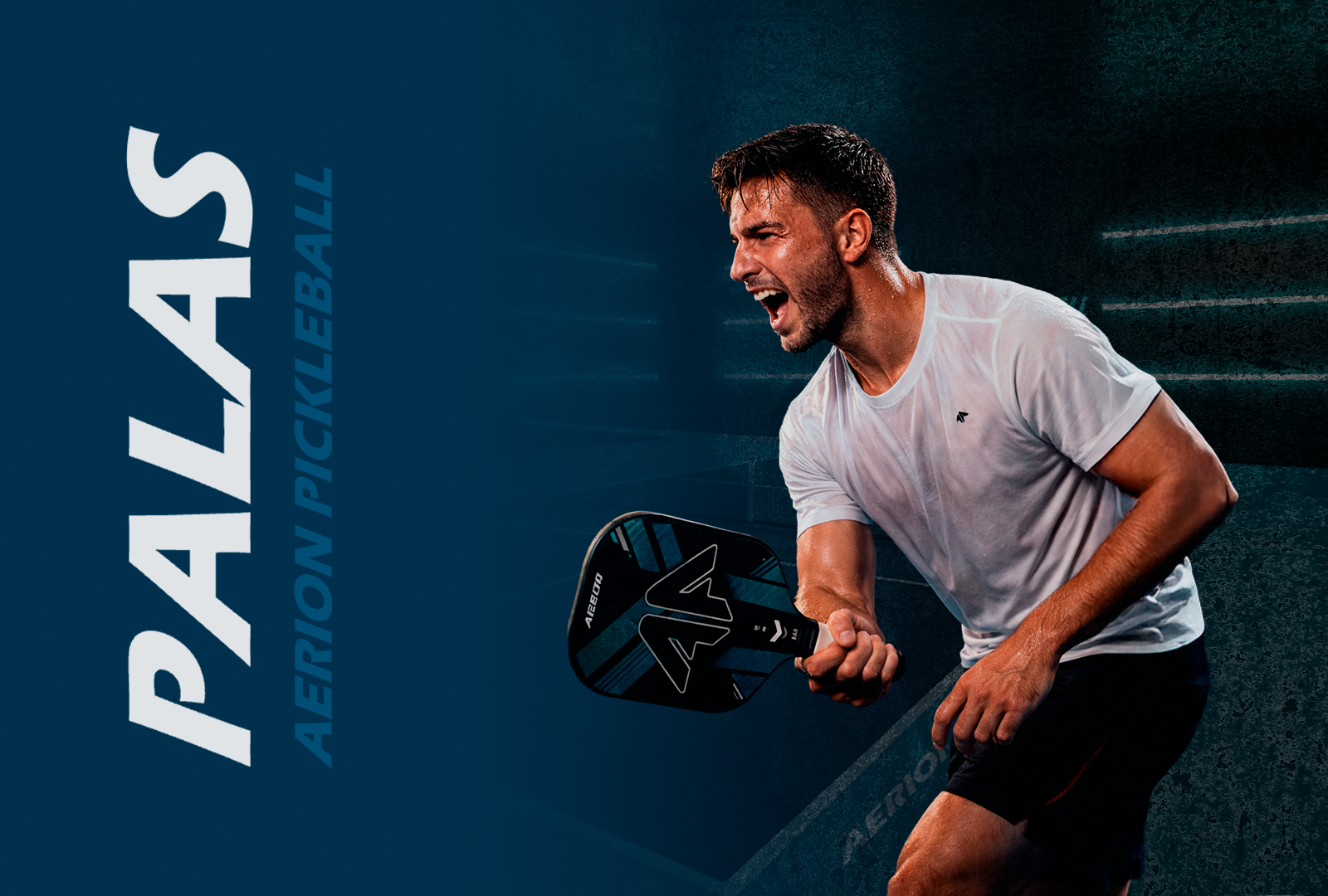 Palas de Pickleball Aerion